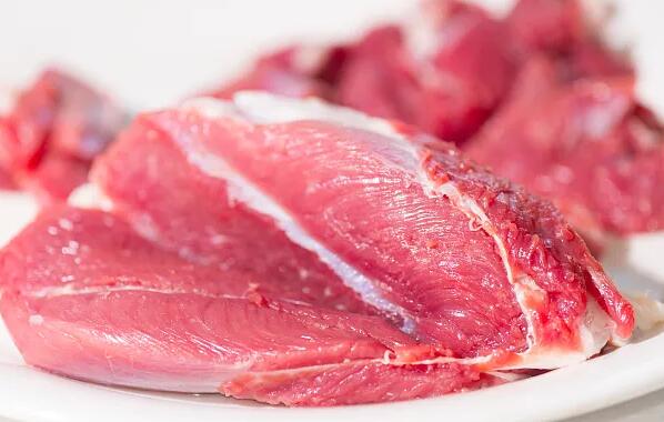 常见蛋白质含量高的十佳食物