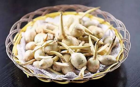 孕妇吃什么对胎儿发育有害