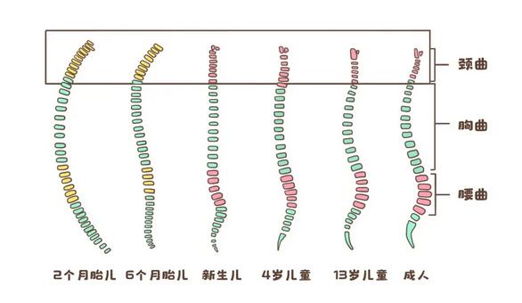婴儿枕头怎么挑选