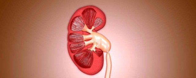 尿酸高有哪些症状