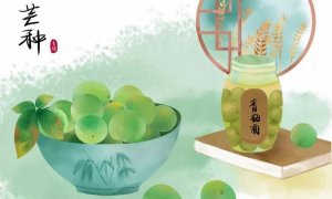 芒种节气吃什么好