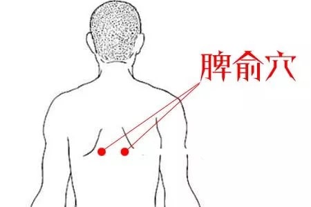 芒种节气养生知识