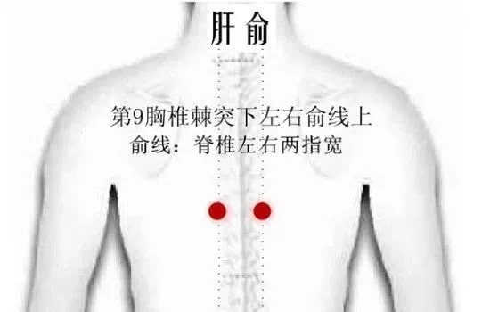 芒种节气养生知识