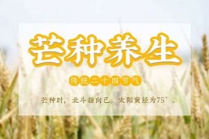 芒种节气养生知识