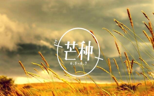 芒种节气养生知识