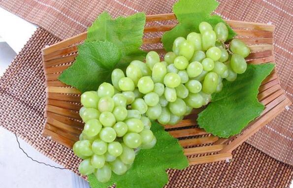 孕妇必吃的12种水果