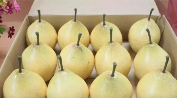 孕妇必吃的12种水果