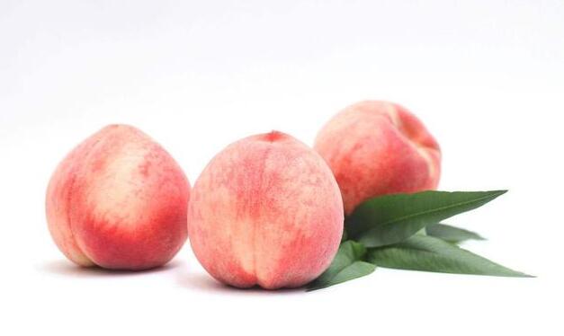 孕妇能不能吃桃子