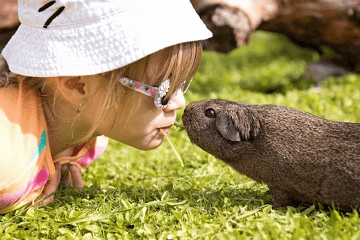 好听的英文名大全,最新男孩女孩英文名