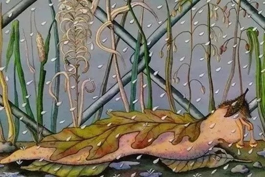 儿童绘本故事《小蜗牛找房子》