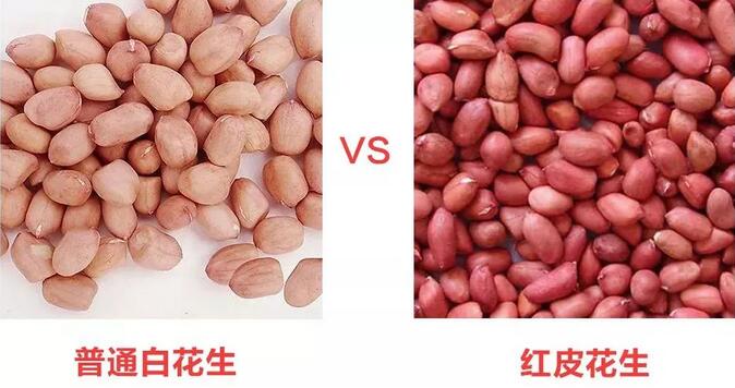 补血下奶五红汤，哺乳期妈妈必备