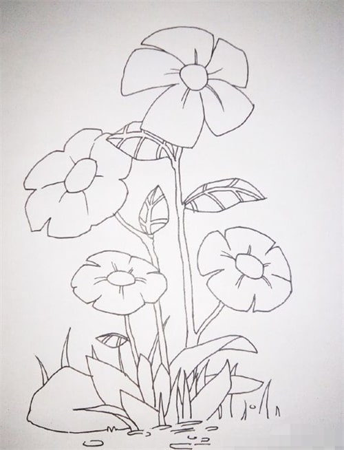 美丽的花朵简笔画怎么画步骤图片