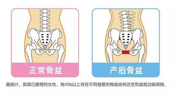 产后恢复时间表