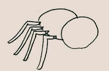 蜘蛛简笔画彩色画法