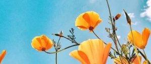 熊父母的7大特征，你占了几条？