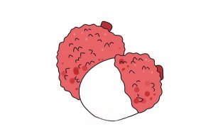 水果荔枝简笔画怎么画
