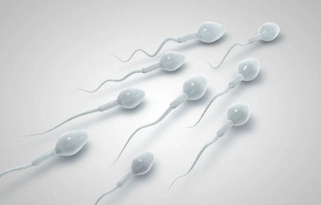 男性备孕注意事项