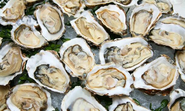 男性备孕注意事项