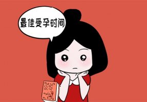 什么时候啪啪啪最容易怀孕