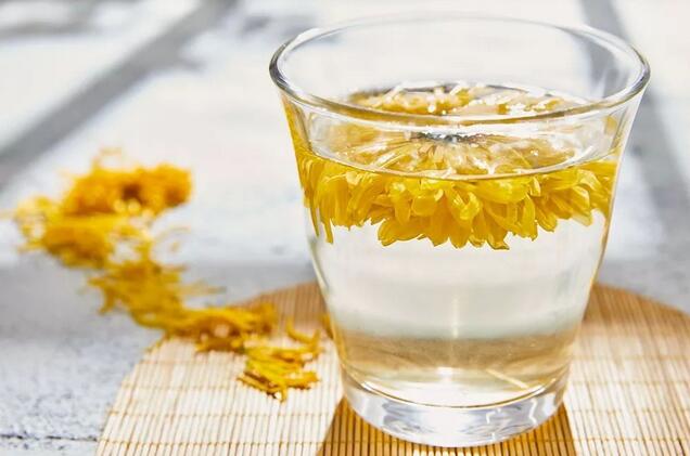 经期能喝菊花茶吗