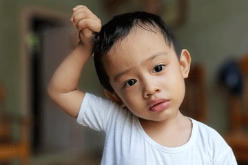 草字头好听的男孩子名字有哪些