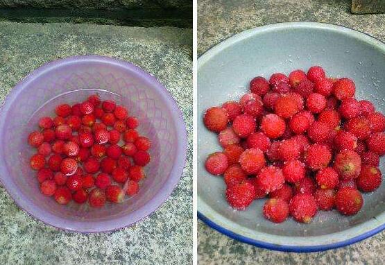 杨梅怎么洗才能洗干净的七种方法