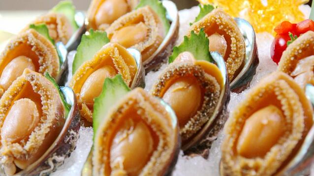 吃鲍鱼的功效与作用禁忌