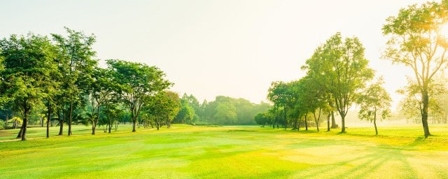 24节气表顺口溜