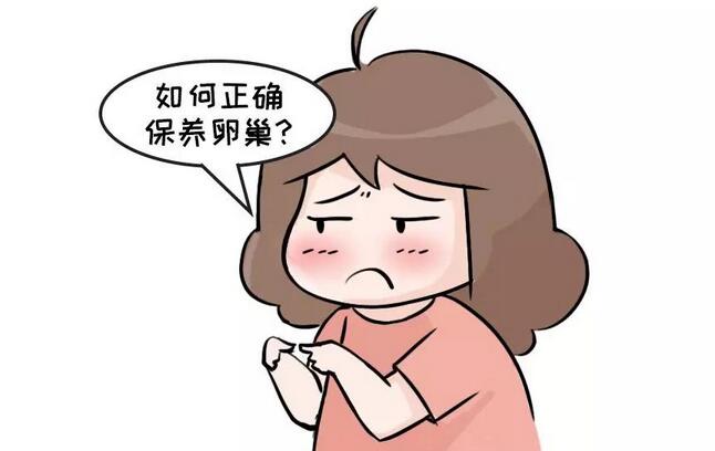 6个卵巢保养的方法 防止卵巢早衰