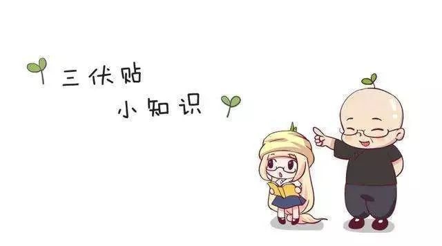 三伏贴有什么功效 三伏贴时间和注意事项