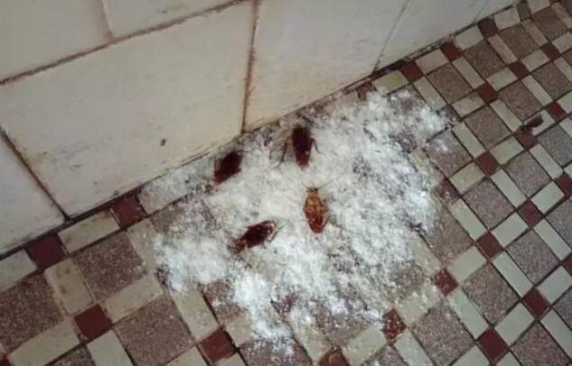 生活中小苏打的用途