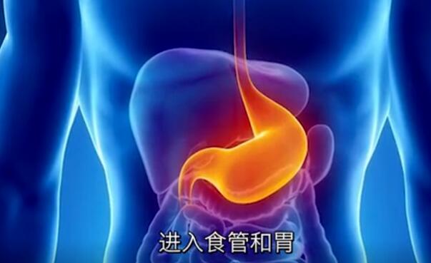 小孩流鼻血怎么处理