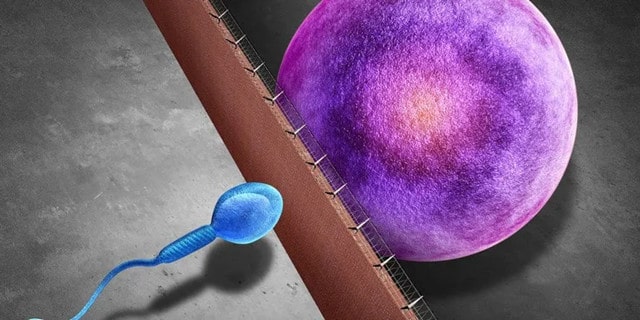 避孕方法有哪些，你知道哪种适合自己吗？