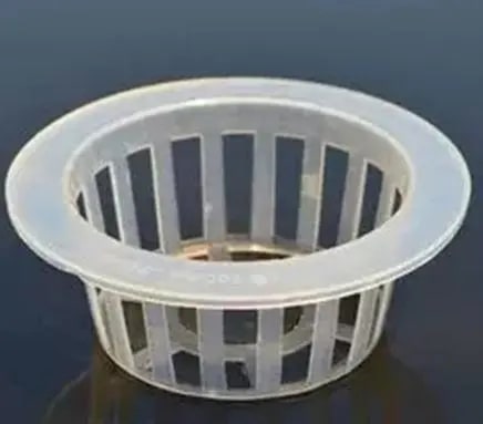 10种水培植物花卉，干净又养眼