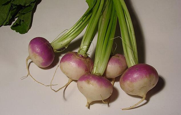 养胃吃什么食物最好