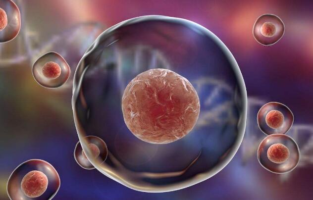 脐带血有必要保存吗