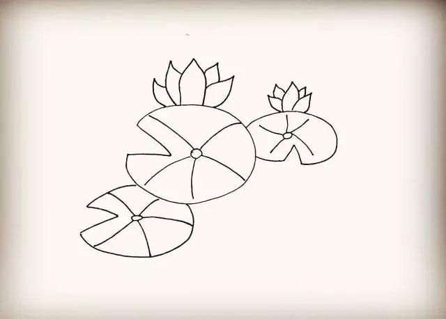 莲花简笔画步骤图片