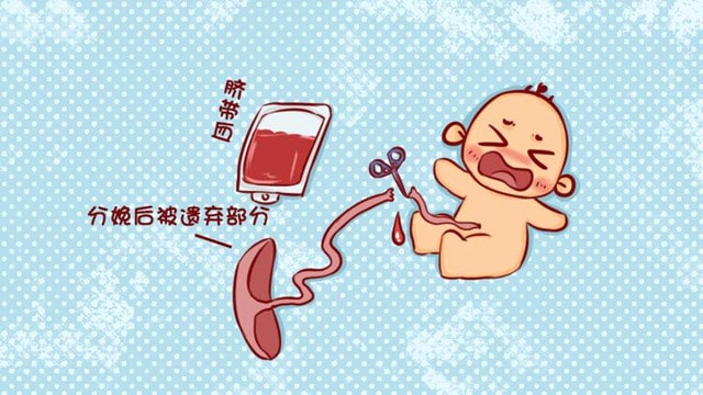 脐带血有必要保存吗