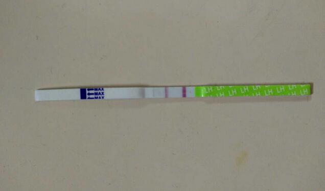 排卵试纸一直强阳是怎么回事？