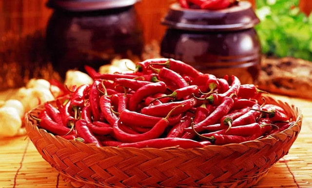 肠道不好饮食怎么调理