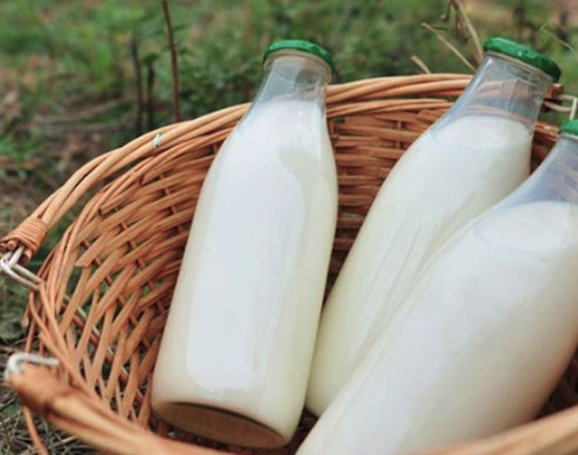 补脑的食物有哪些