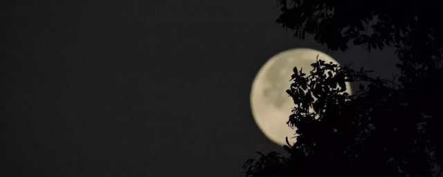 我想要天上的月亮和地上的霜是什么歌