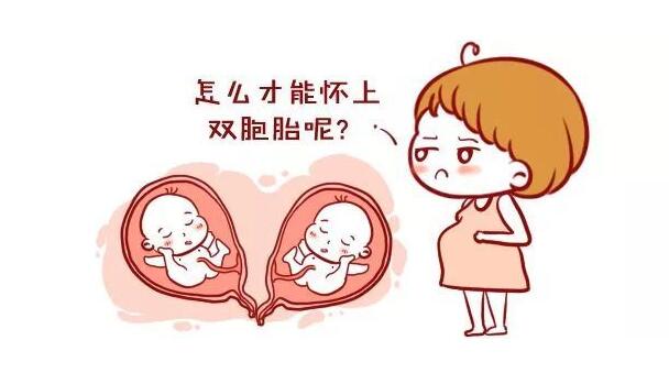 怎么生双胞胎 6类女性更容易生双胞胎
