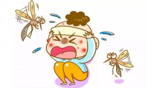 最有效的11种驱蚊方法