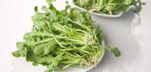 养肝护肝吃什么蔬菜最好