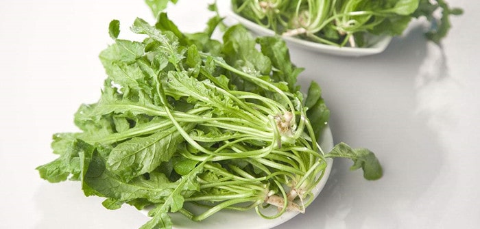 养肝护肝吃什么蔬菜最好