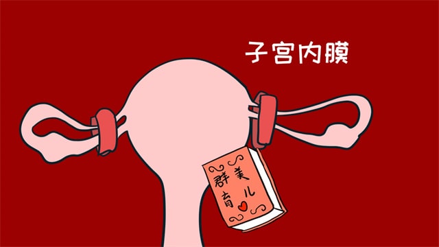 怀孕后还可能来月经的原因