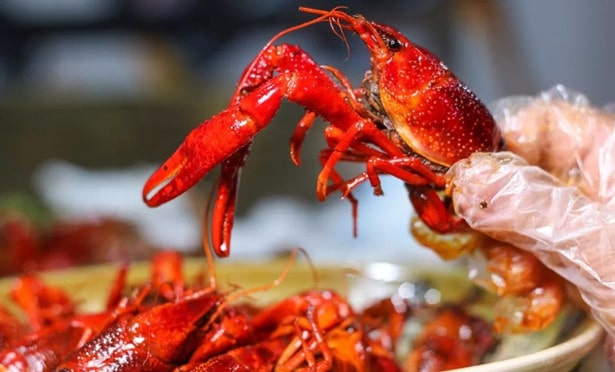 孕妇可以吃小龙虾吗