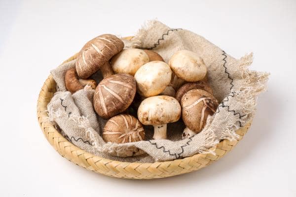 降血脂最有效5种食物