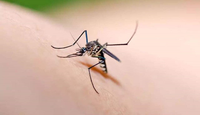 宝宝被蚊虫叮咬，家长要怎么处理？